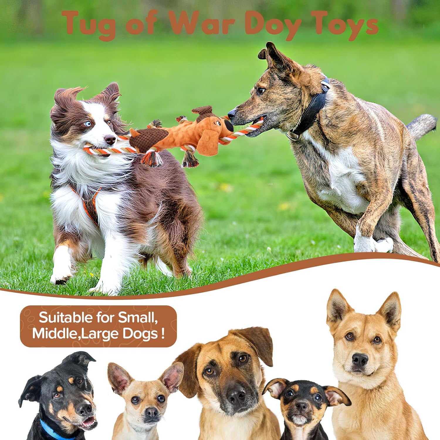 Interactive Squeaky Dog Chew Toy,Plush Dog Rope Toys for Small Medium and Large Dogs,Tug of War Dog Toys to Keep Them Busy,Training Reward Gift,Teeth Cleaning